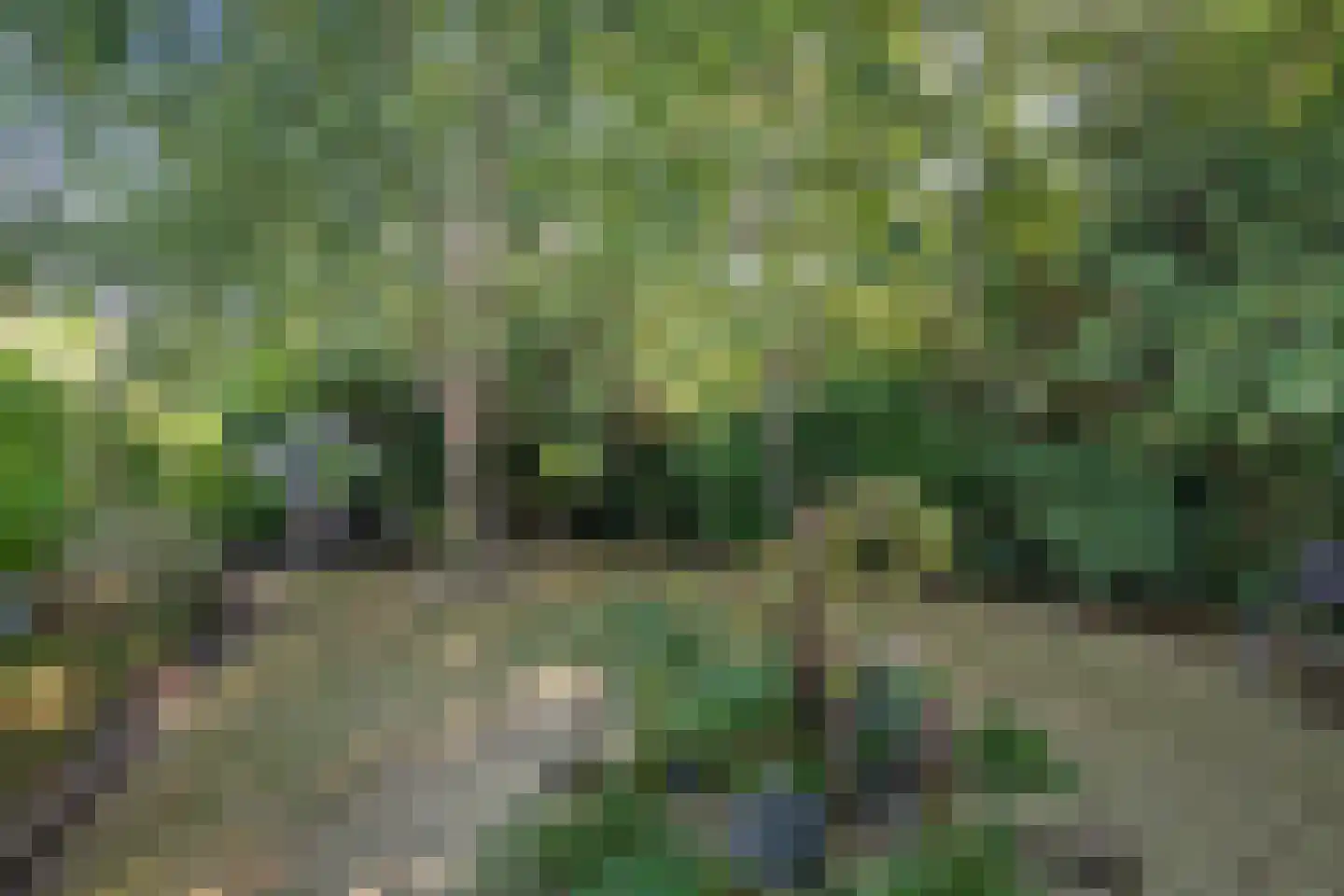 Salomon Huygenslaan 5 Katwijk thumbnail 33