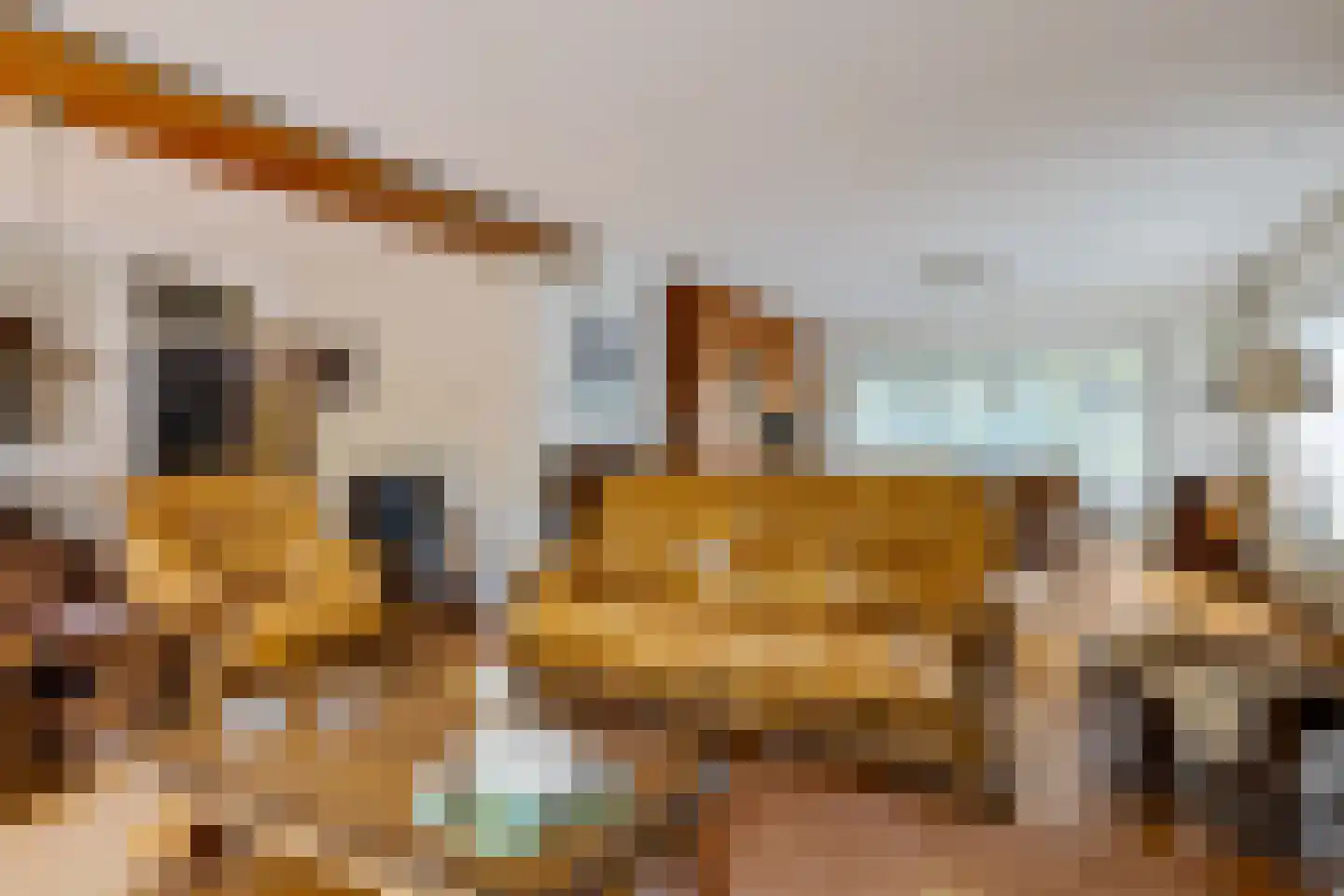 Salomon Huygenslaan 5 Katwijk thumbnail 4