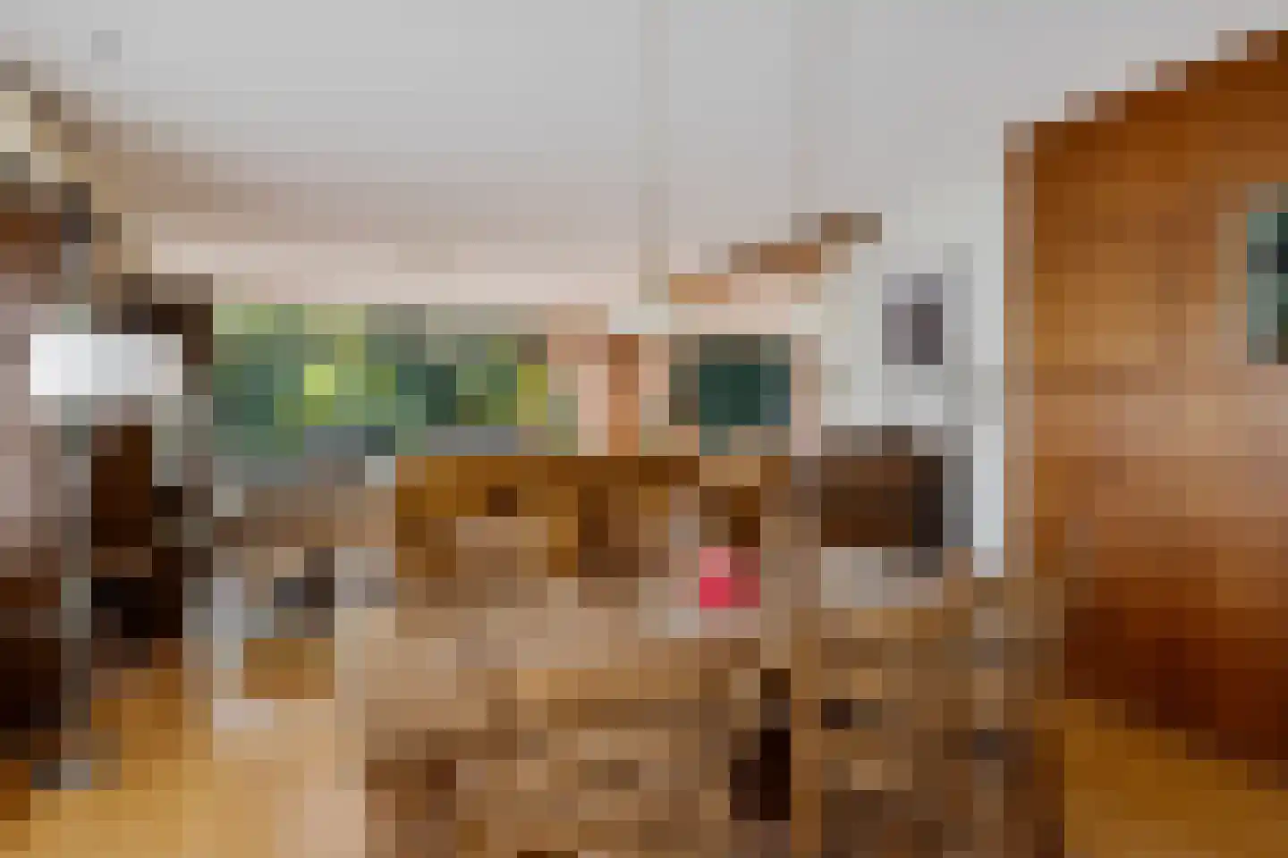 Salomon Huygenslaan 5 Katwijk thumbnail 5