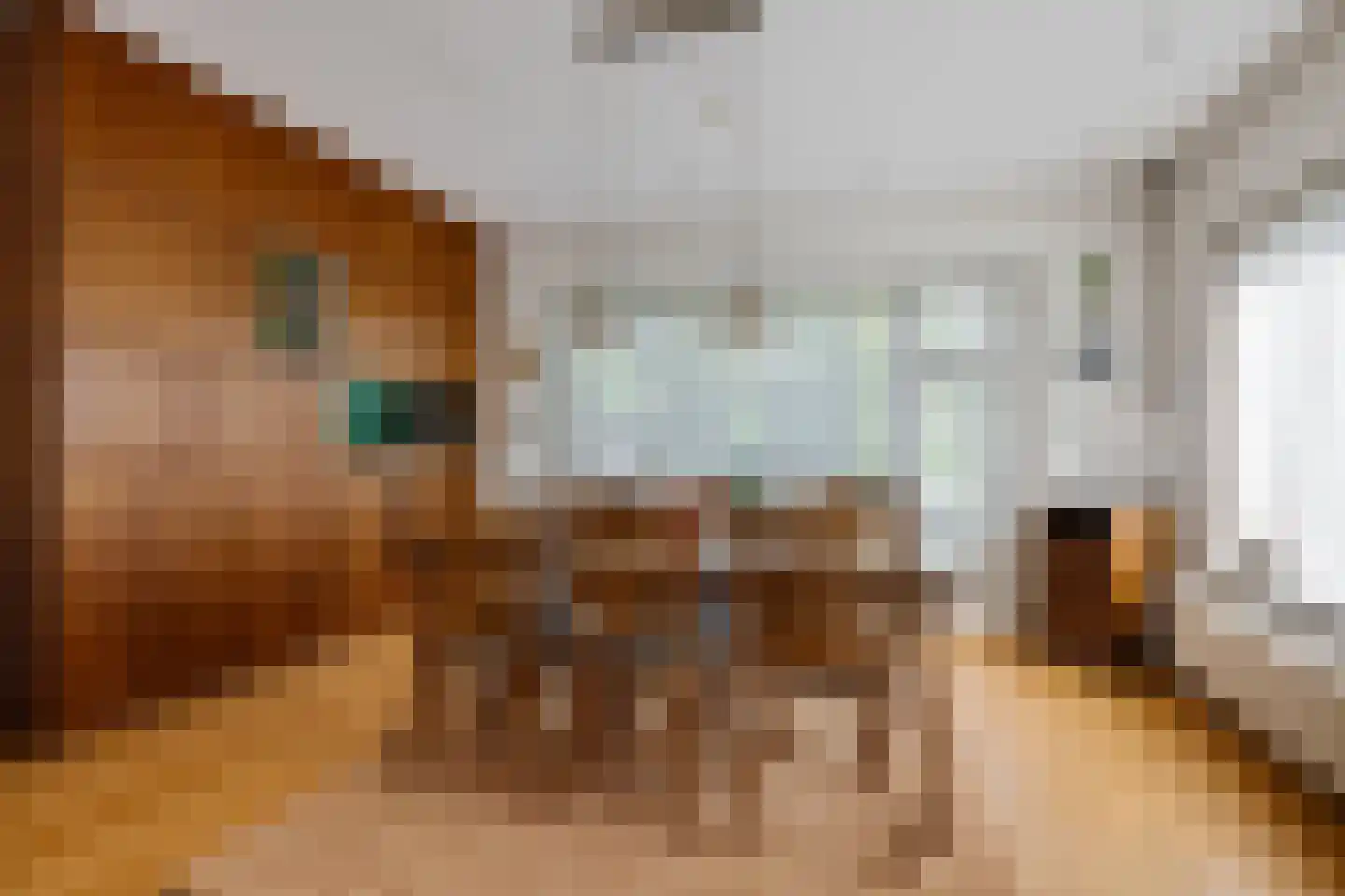 Salomon Huygenslaan 5 Katwijk thumbnail 7