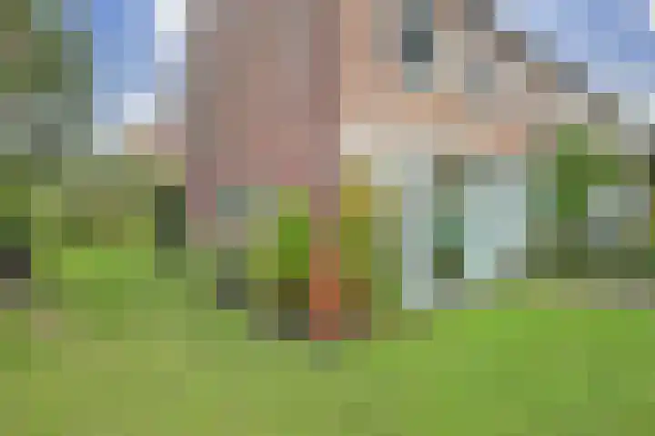 Salomon Huygenslaan 8 Katwijk thumbnail 10