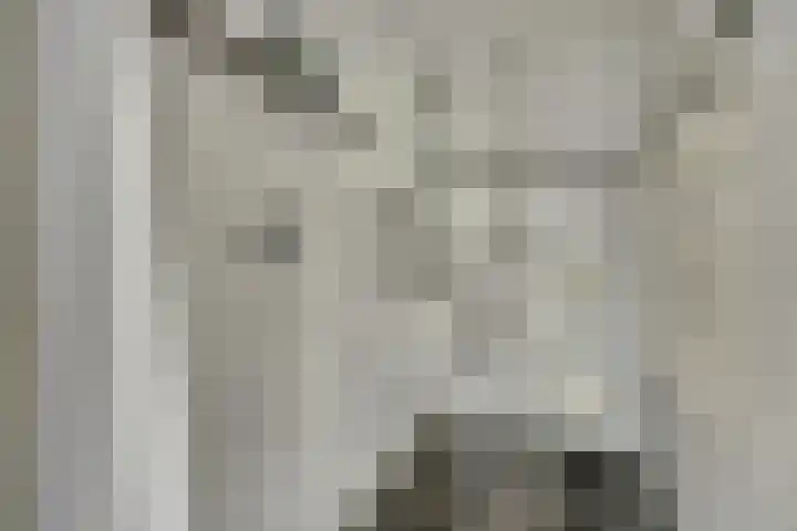 Salomon Huygenslaan 8 Katwijk thumbnail 5