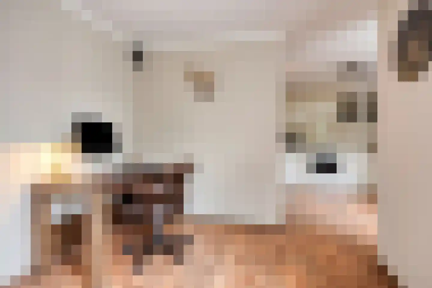 Salomonsakker 23 Hedel thumbnail 11