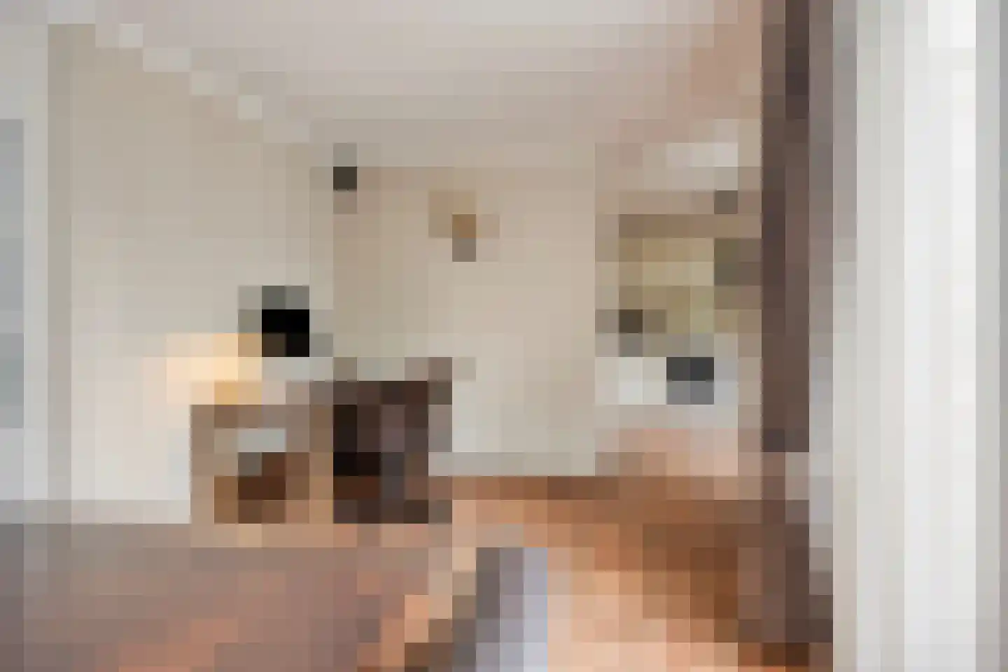 Salomonsakker 23 Hedel thumbnail 12