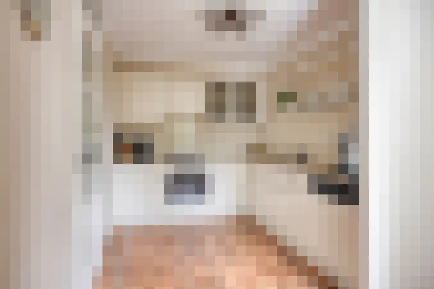 Salomonsakker 23 Hedel thumbnail 13
