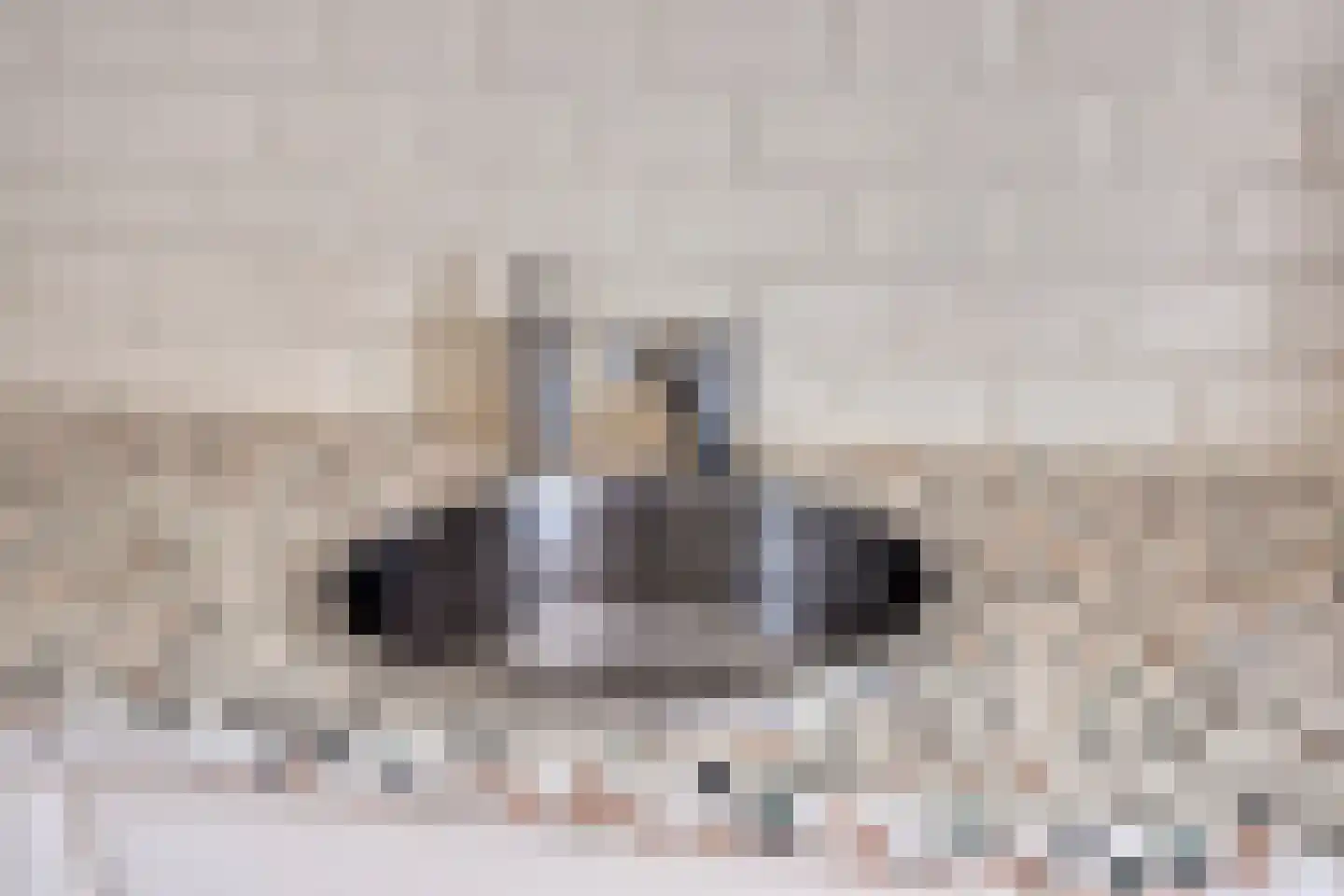 Salomonsakker 23 Hedel thumbnail 14