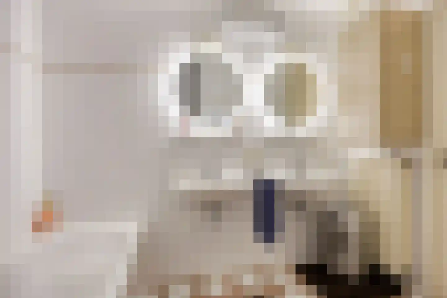 Salomonsakker 23 Hedel thumbnail 22