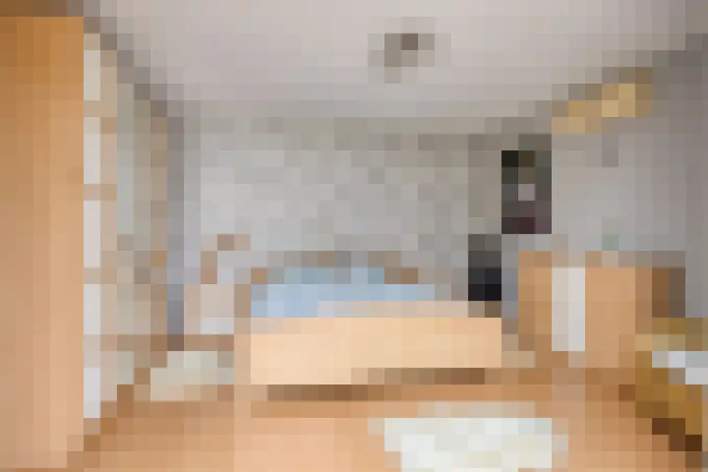 Salomonsakker 23 Hedel thumbnail 24