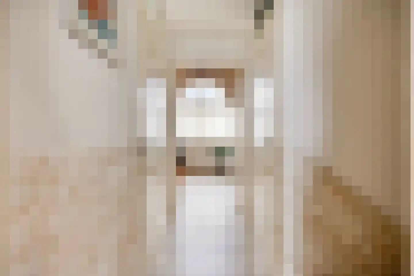 Salomonsakker 23 Hedel thumbnail 29