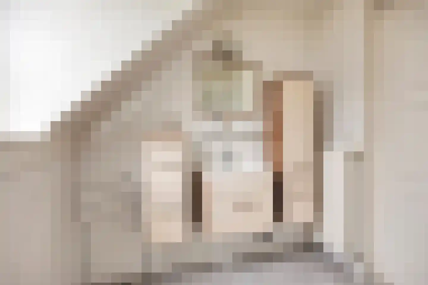 Salomonsakker 23 Hedel thumbnail 34
