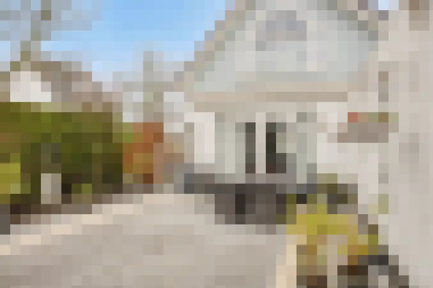 Salomonsakker 23 Hedel thumbnail 39