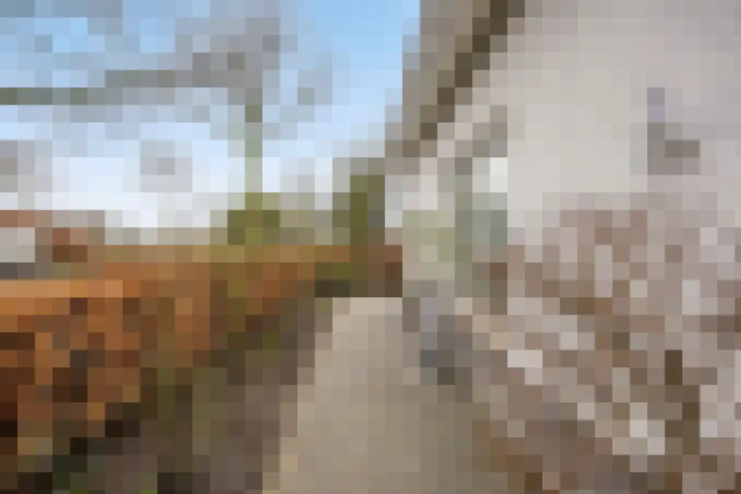 Salomonsakker 23 Hedel thumbnail 4
