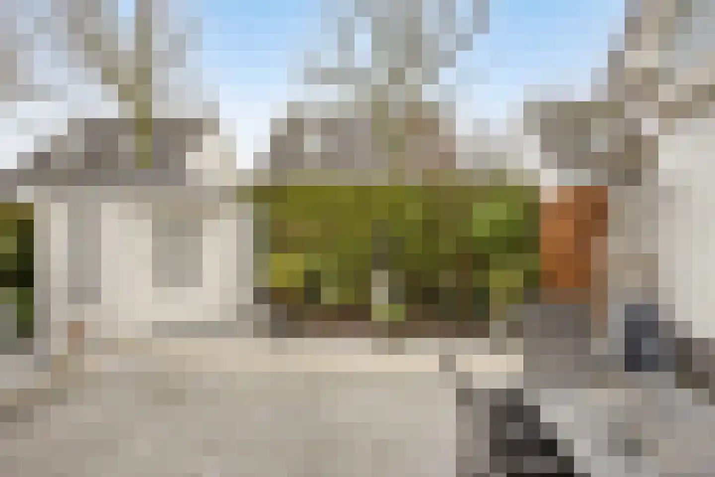 Salomonsakker 23 Hedel thumbnail 41