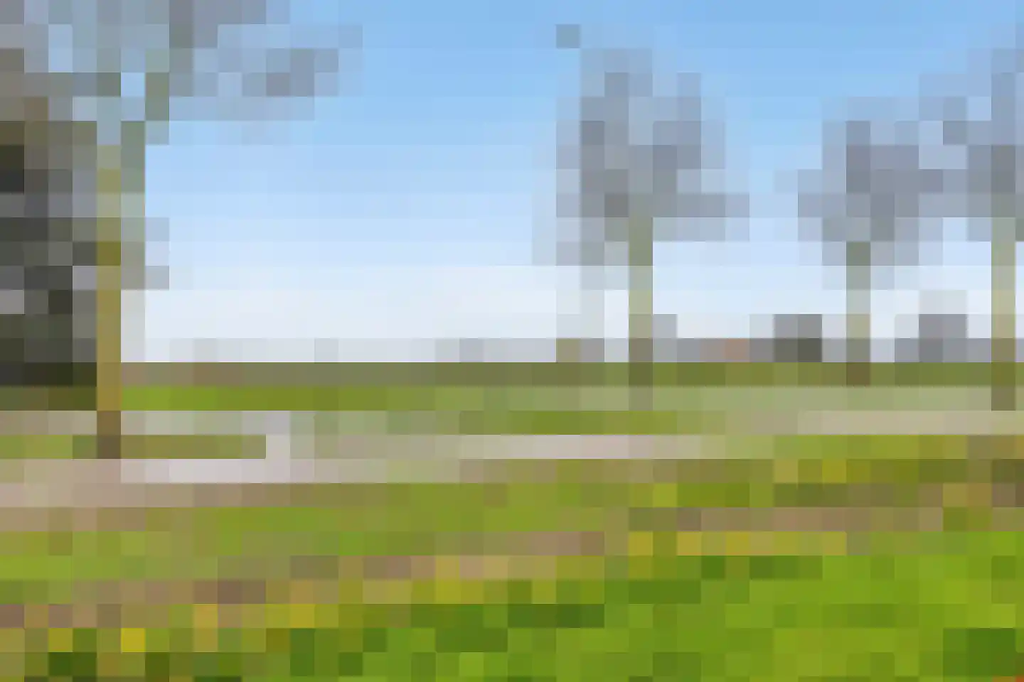 Salomonsakker 23 Hedel thumbnail 43