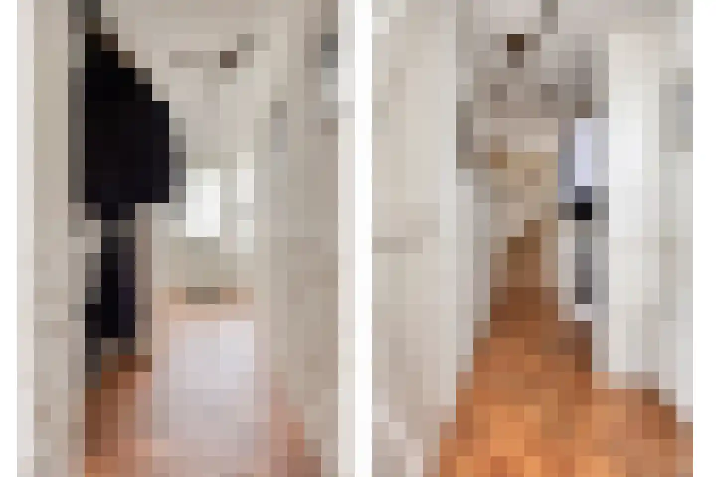 Salomonsakker 23 Hedel thumbnail 5