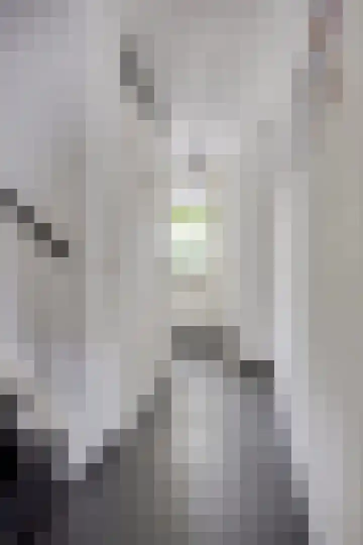 Salomonsakker 34 Hedel thumbnail 11
