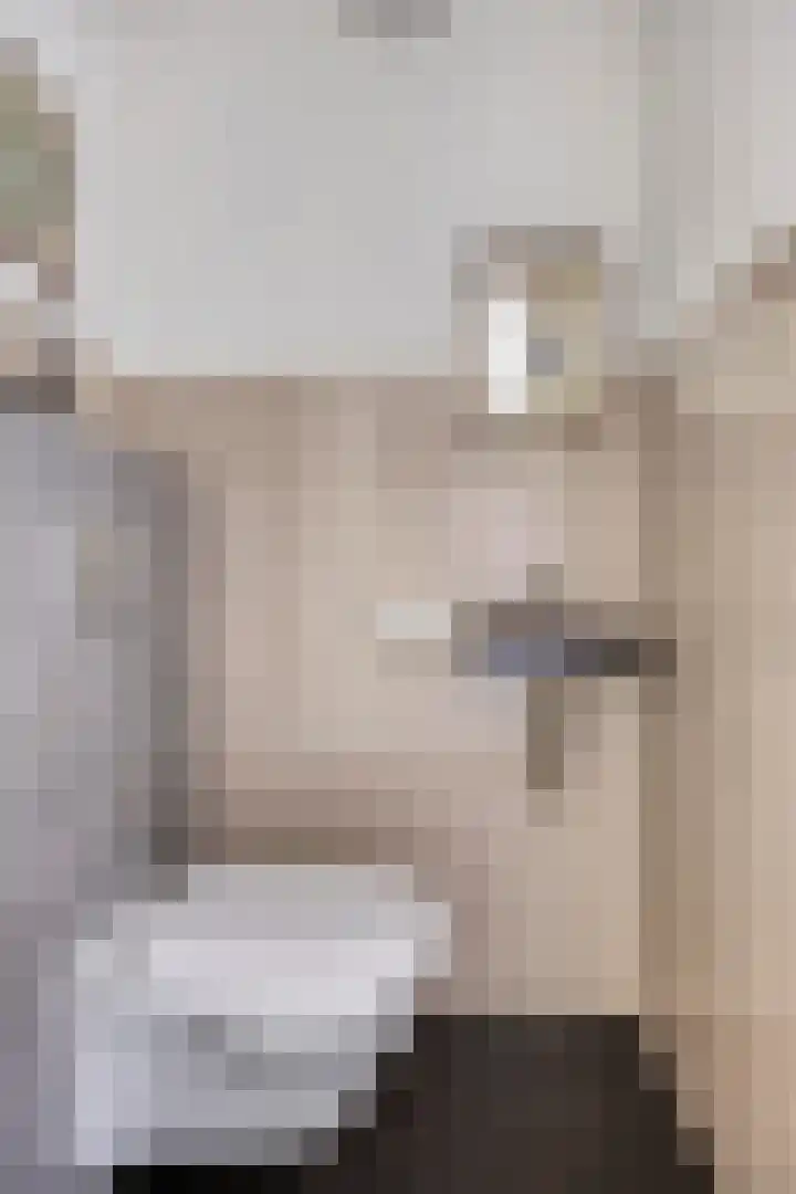 Salomonsakker 34 Hedel thumbnail 12