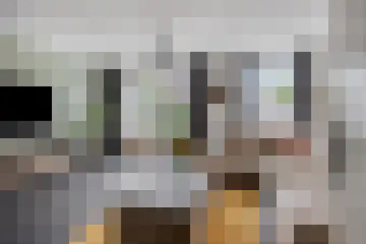 Salomonsakker 34 Hedel thumbnail 13