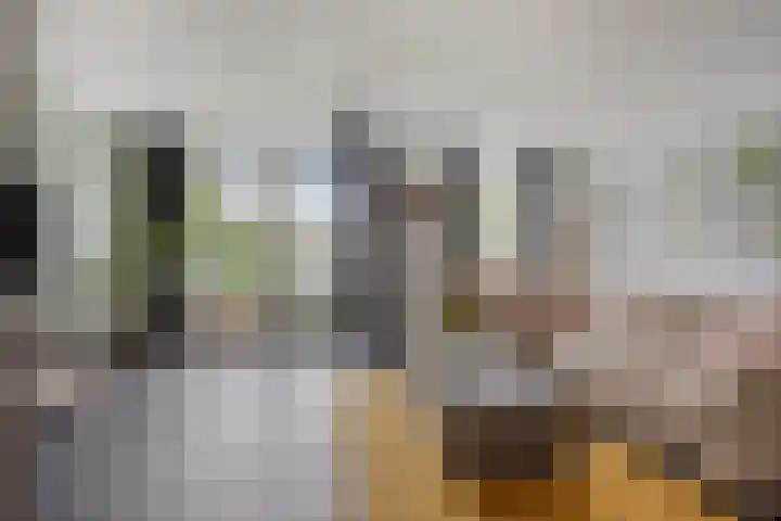 Salomonsakker 34 Hedel thumbnail 14