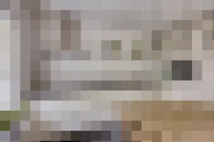 Salomonsakker 34 Hedel thumbnail 17