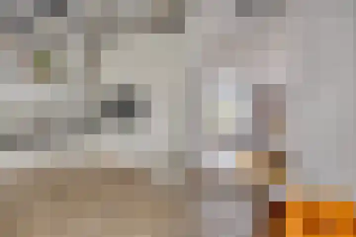 Salomonsakker 34 Hedel thumbnail 18