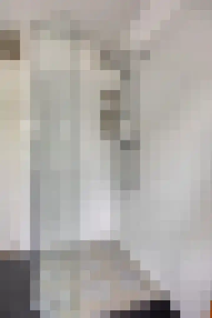 Salomonsakker 34 Hedel thumbnail 25