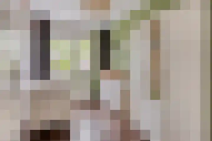 Salomonsakker 34 Hedel thumbnail 29