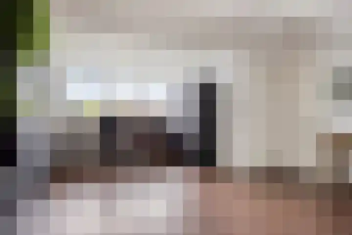 Salomonsakker 34 Hedel thumbnail 32
