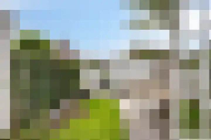 Salomonsakker 34 Hedel thumbnail 35