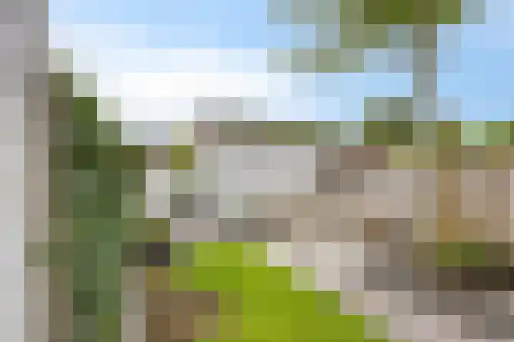 Salomonsakker 34 Hedel thumbnail 36