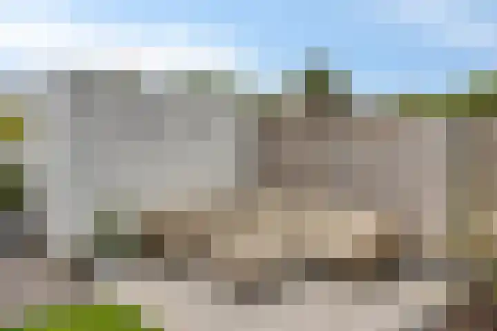 Salomonsakker 34 Hedel thumbnail 37