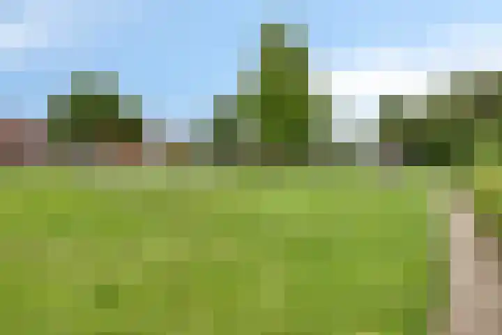 Salomonsakker 34 Hedel thumbnail 43