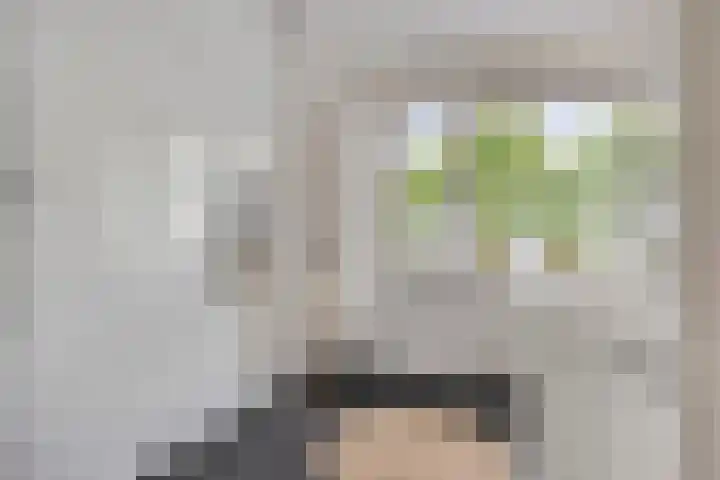 Salomonsakker 34 Hedel thumbnail 5