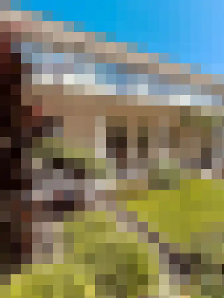 Salomonsakker 34 Hedel thumbnail 7