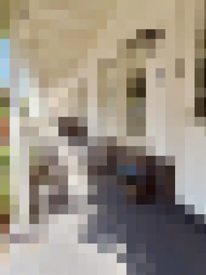Salomonsakker 34 Hedel thumbnail 9