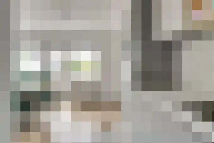 Salomonsakker 50 Hedel thumbnail 10