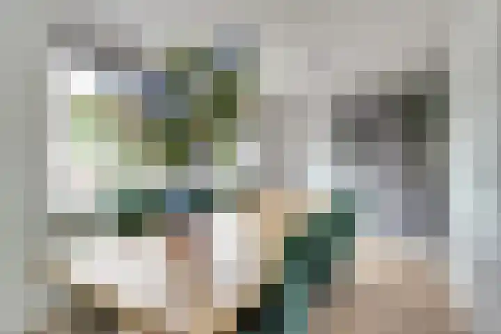 Salomonsakker 50 Hedel thumbnail 11