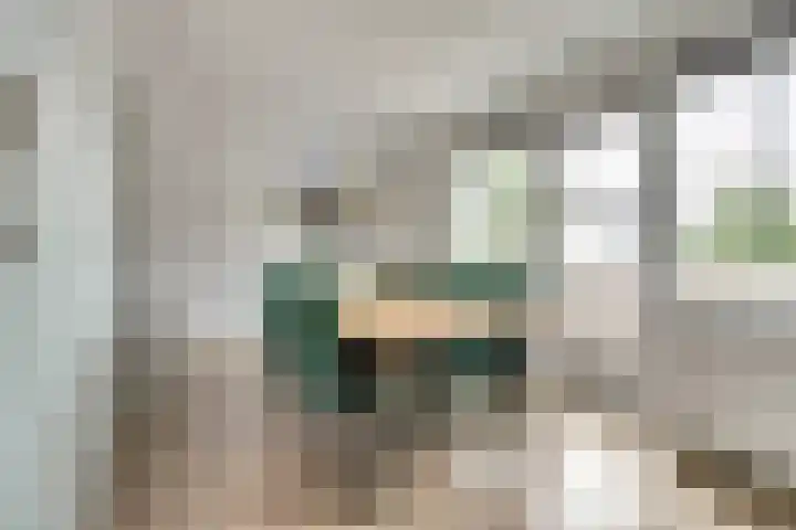 Salomonsakker 50 Hedel thumbnail 13