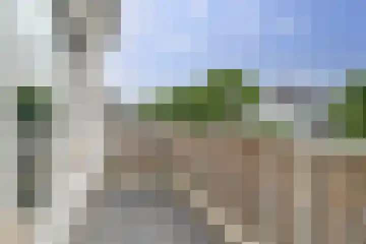 Salomonsakker 50 Hedel thumbnail 14