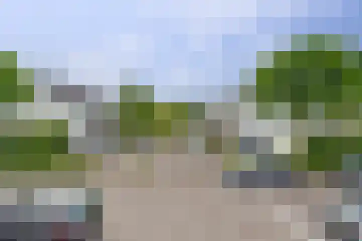Salomonsakker 50 Hedel thumbnail 15