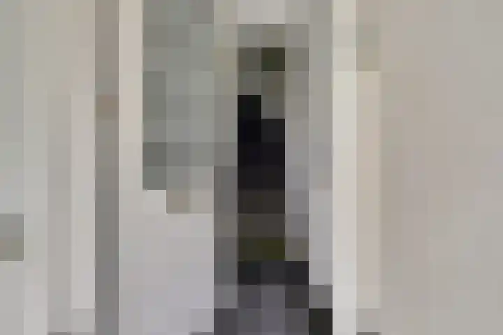 Salomonsakker 50 Hedel thumbnail 16