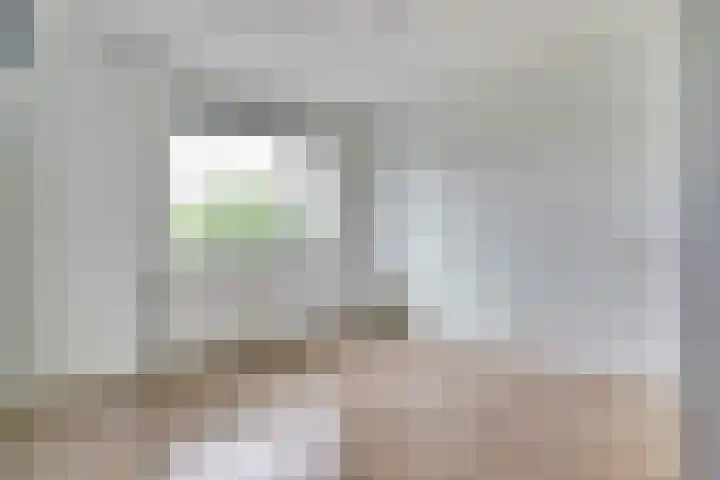 Salomonsakker 50 Hedel thumbnail 19