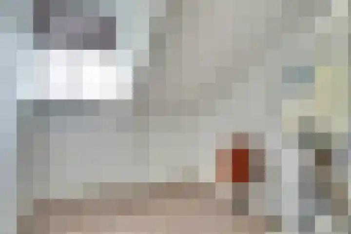 Salomonsakker 50 Hedel thumbnail 24