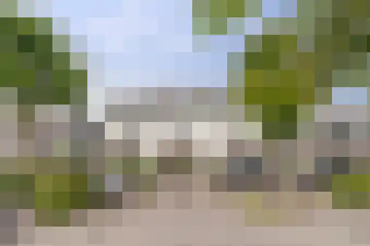 Salomonsakker 50 Hedel thumbnail 29