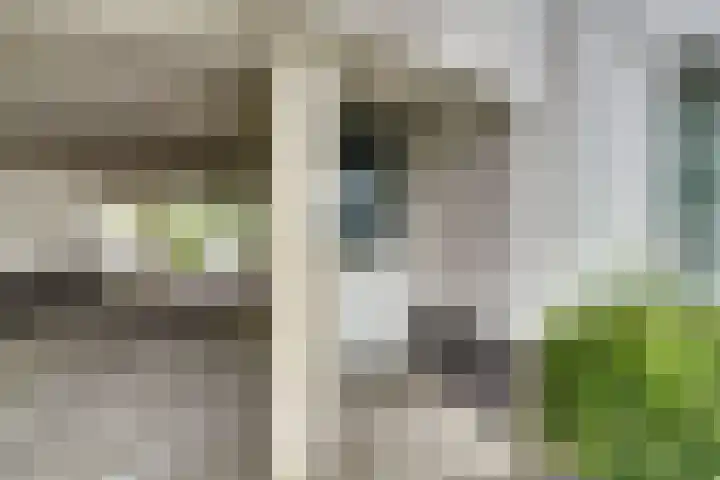 Salomonsakker 50 Hedel thumbnail 30