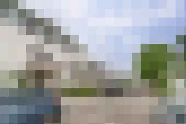 Salomonsakker 50 Hedel thumbnail 32