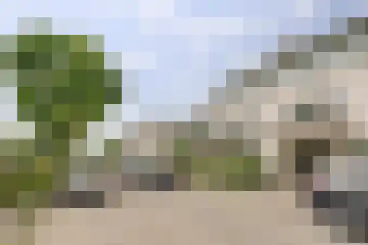 Salomonsakker 50 Hedel thumbnail 33