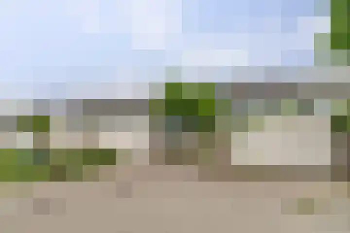 Salomonsakker 50 Hedel thumbnail 34