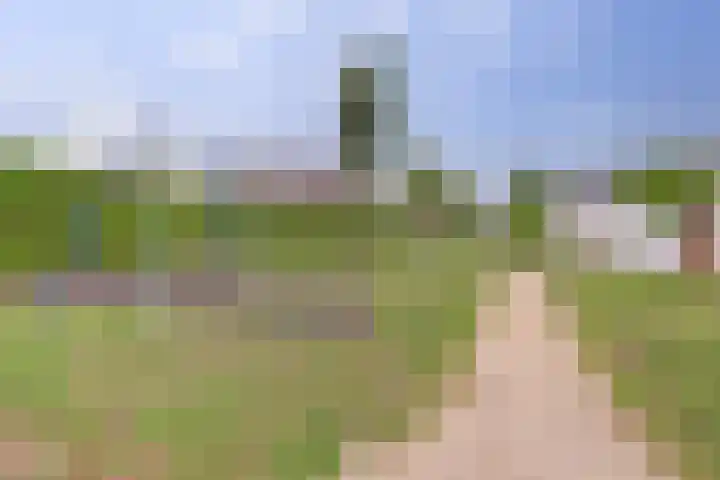 Salomonsakker 50 Hedel thumbnail 37