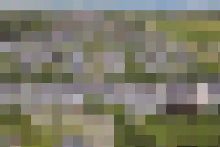 Salomonsakker 50 Hedel thumbnail 40